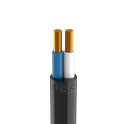 Кабель ЭСК ВВГнг-LS 2x2,5 (100 м)